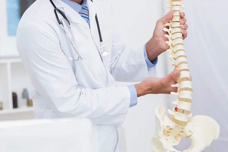 nukloplasti nuklepolasti